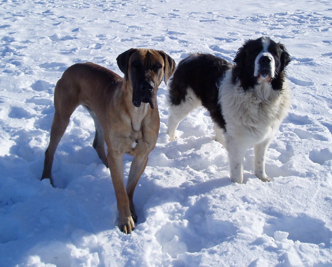 Argo a Valda.2004.jpg