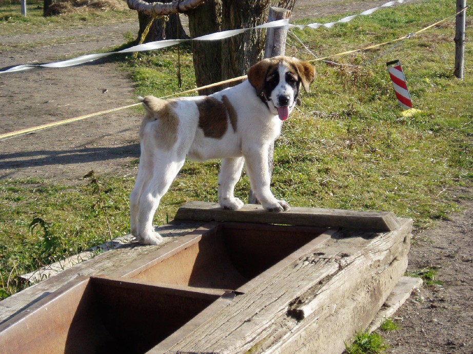 Rocky na žlabu.jpg