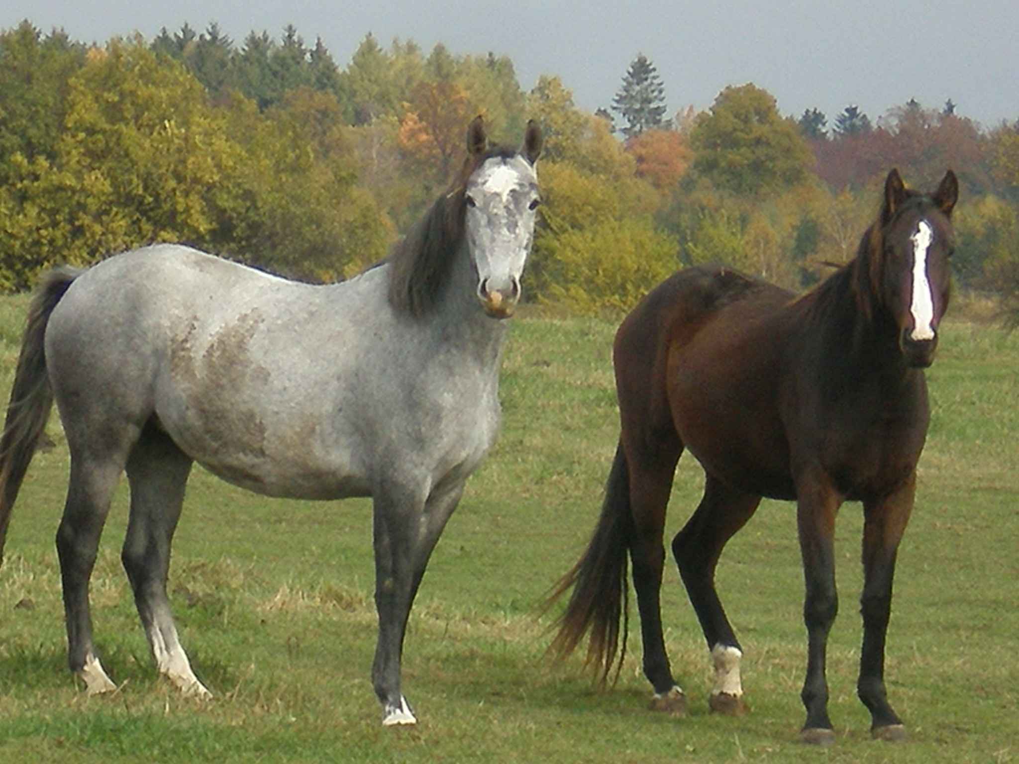 PA302063.JPG
