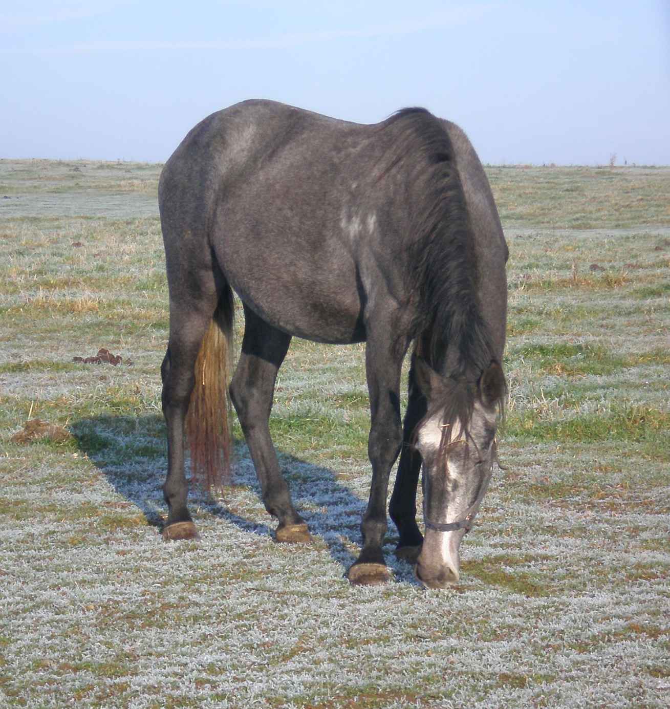 PB012112.JPG
