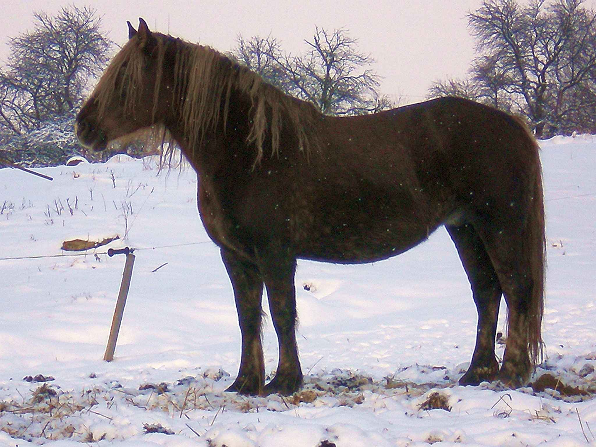 P1032161.JPG