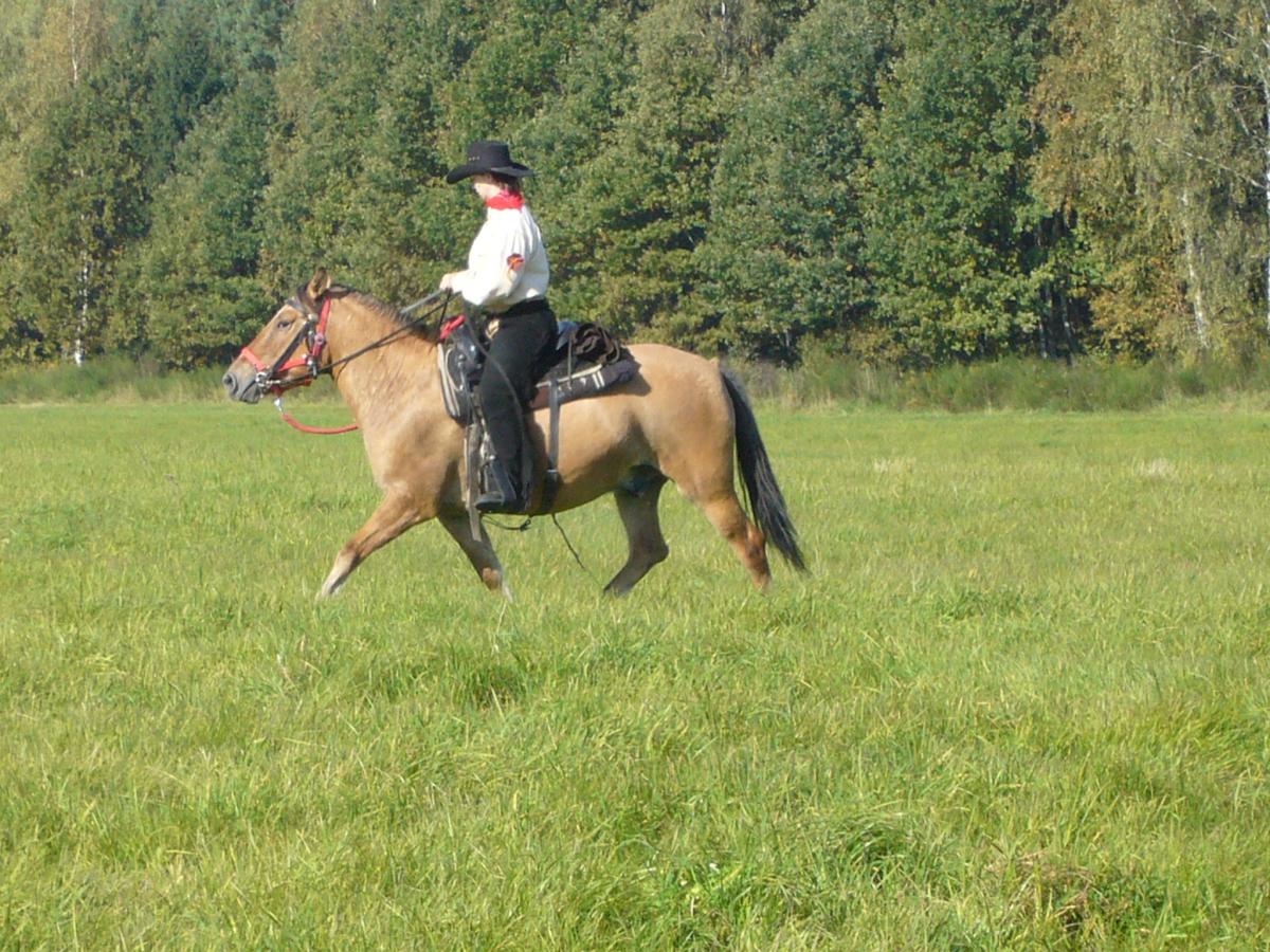 HubertBulovka2010021