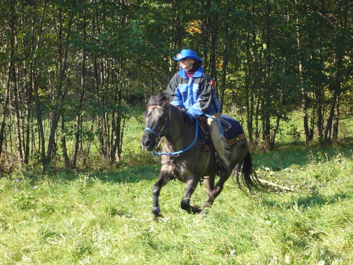 HubertBulovka2010039