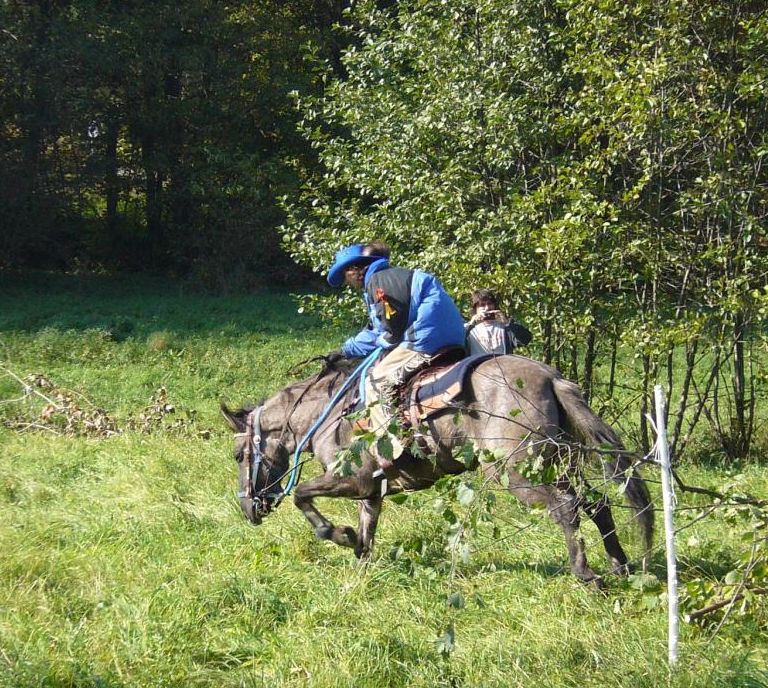 HubertBulovka2010041