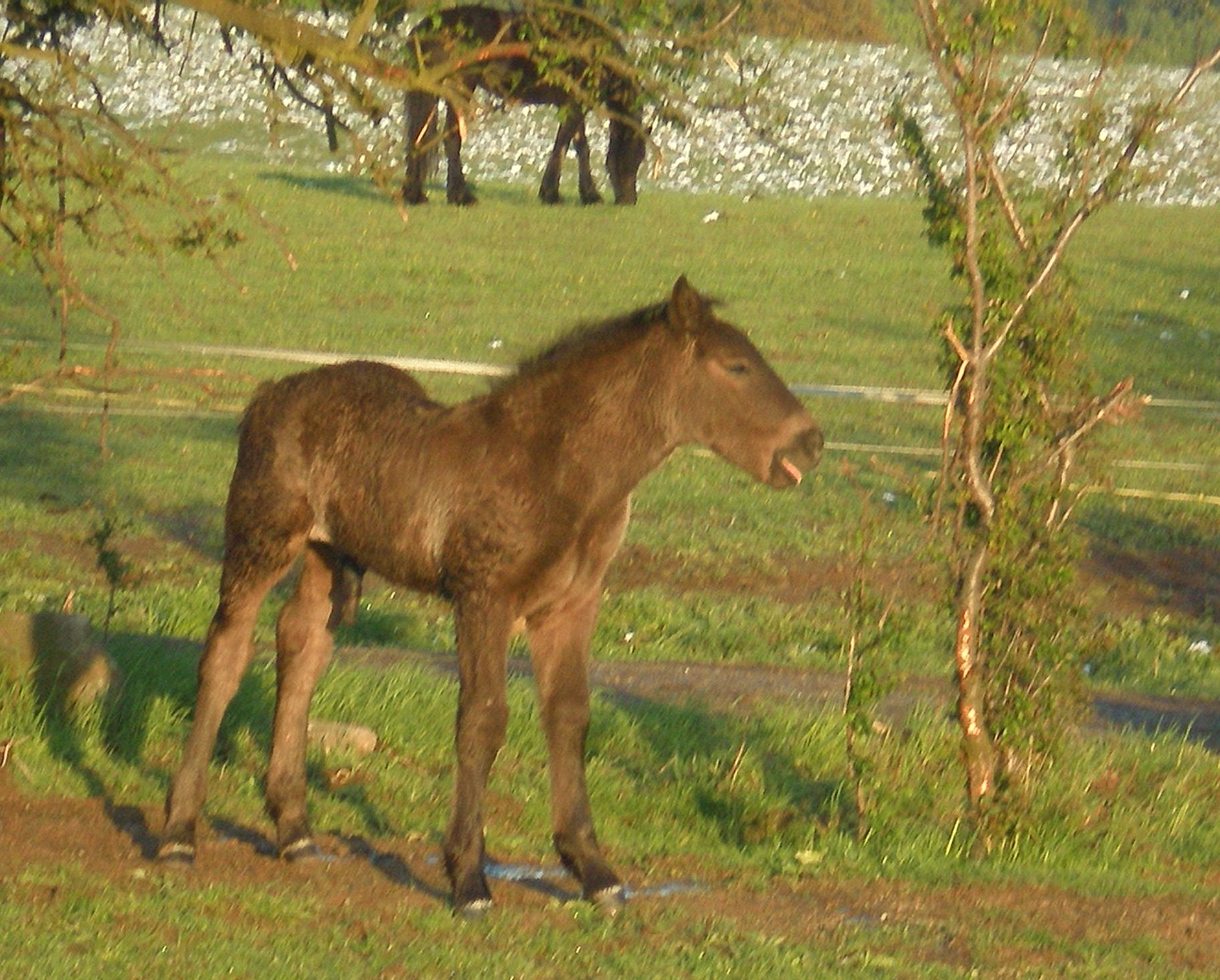 P5032327