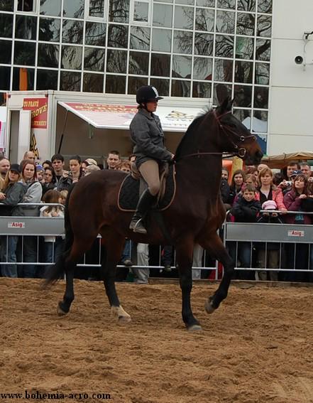 Lysa_jaro_sKonmi_3_20100046