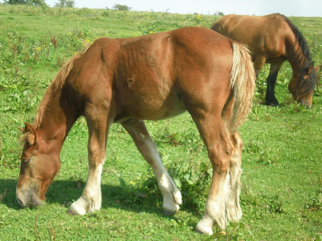P8232110