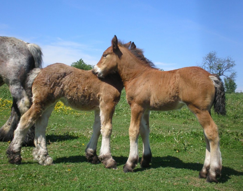 Roxana a Veesna-květen