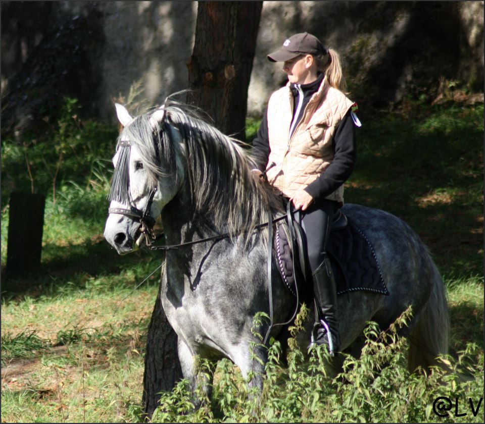 307922_2392982321981_438933419_n