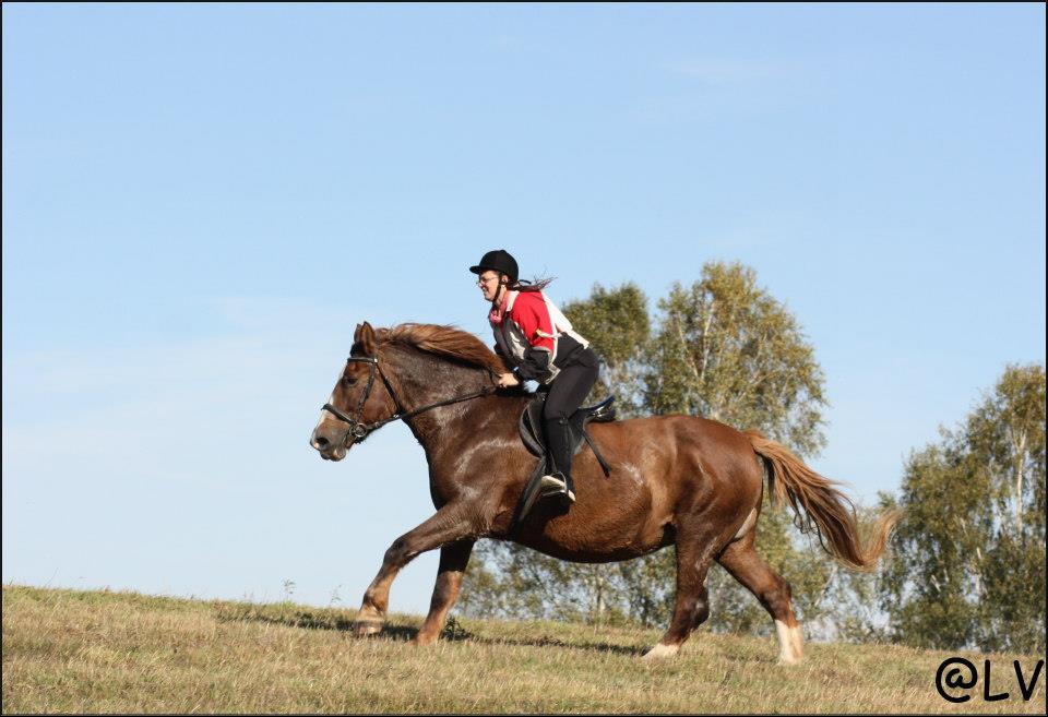 426339_2392983162002_1580196451_n