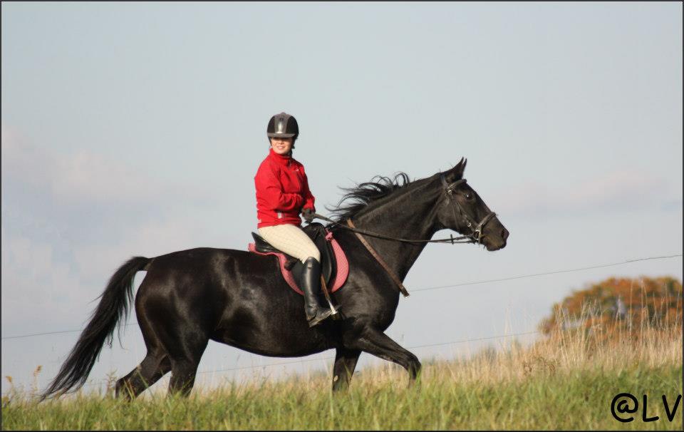 486792_2393042123476_43546336_n