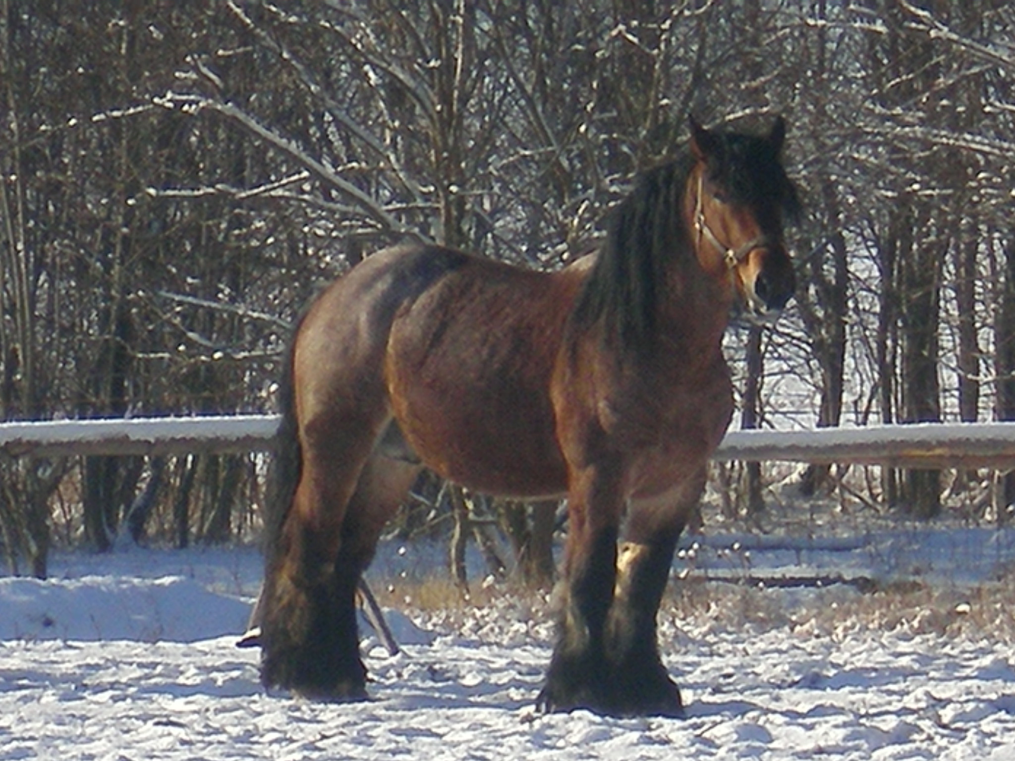 P1031875.JPG